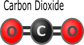 A carbon dioxide molecule.